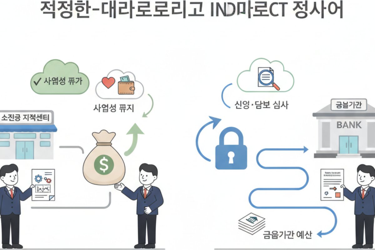 직접대출과 대리대출의 구조적 차이와 심사 주체 파악