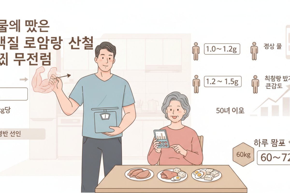 내 몸에 맞는 단백질 요구량 산출과 매끼 분배 전략