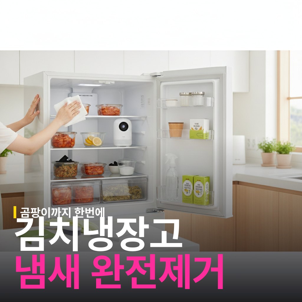 김치냉장고 냄새 제거와 곰팡이 예방 방법