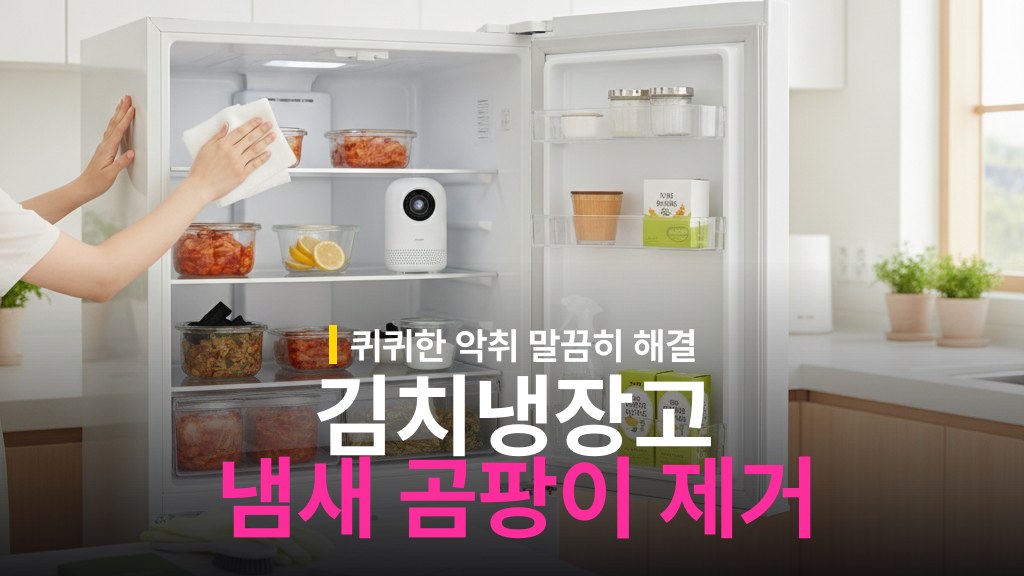김치냉장고 냄새 제거와 곰팡이 예방 방법