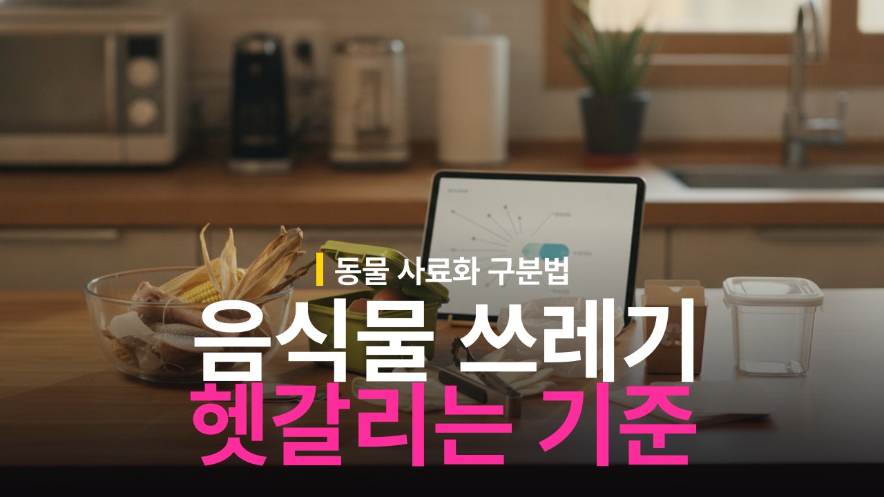 음식물 쓰레기 기준: 헷갈리는 품목 분리배출 방법