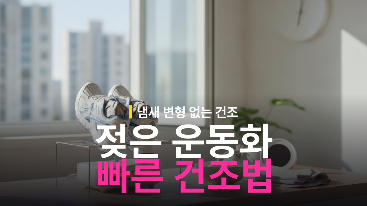 젖은 운동화 빨리 말리는 방법과 냄새 예방 건조 순서