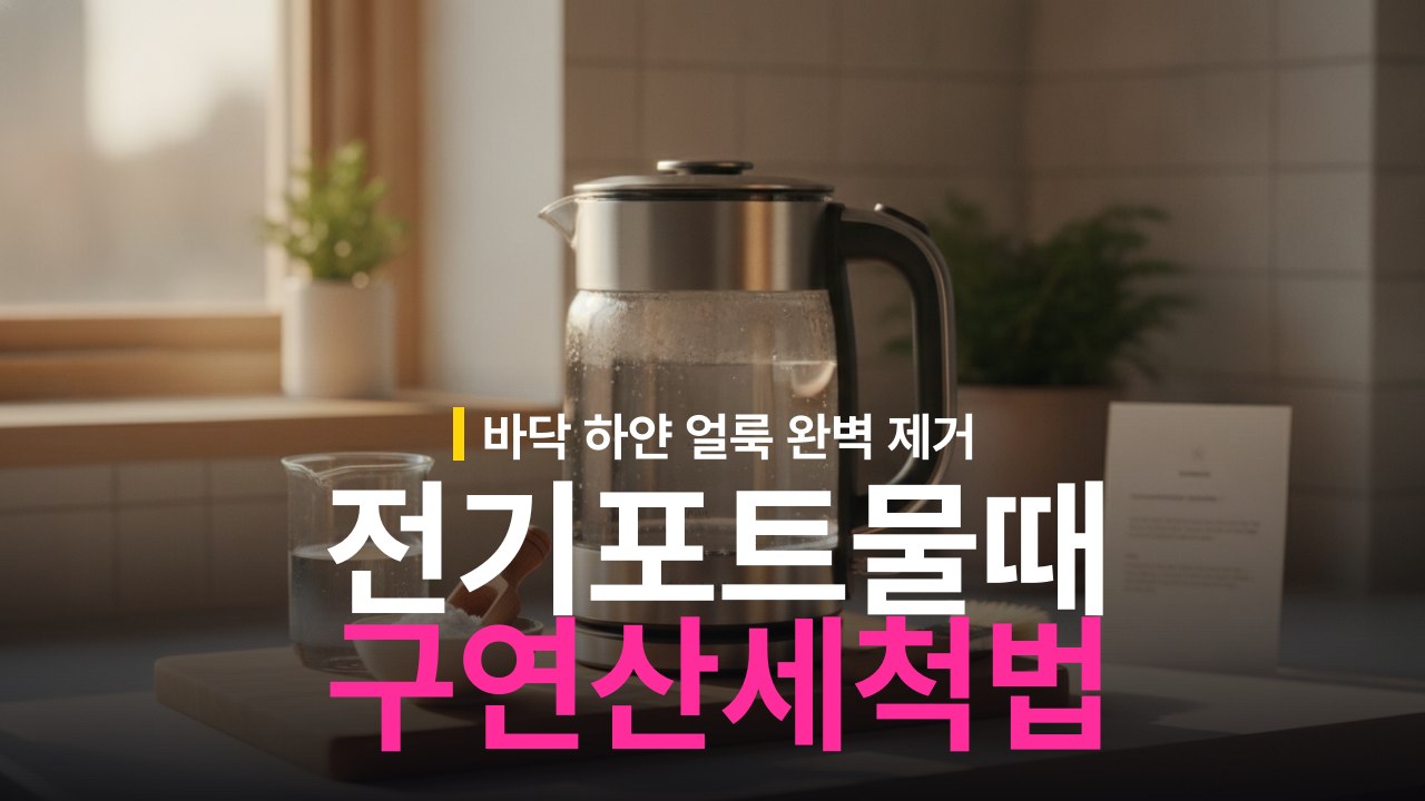 전기포트 물때 제거 방법 구연산 세척 순서