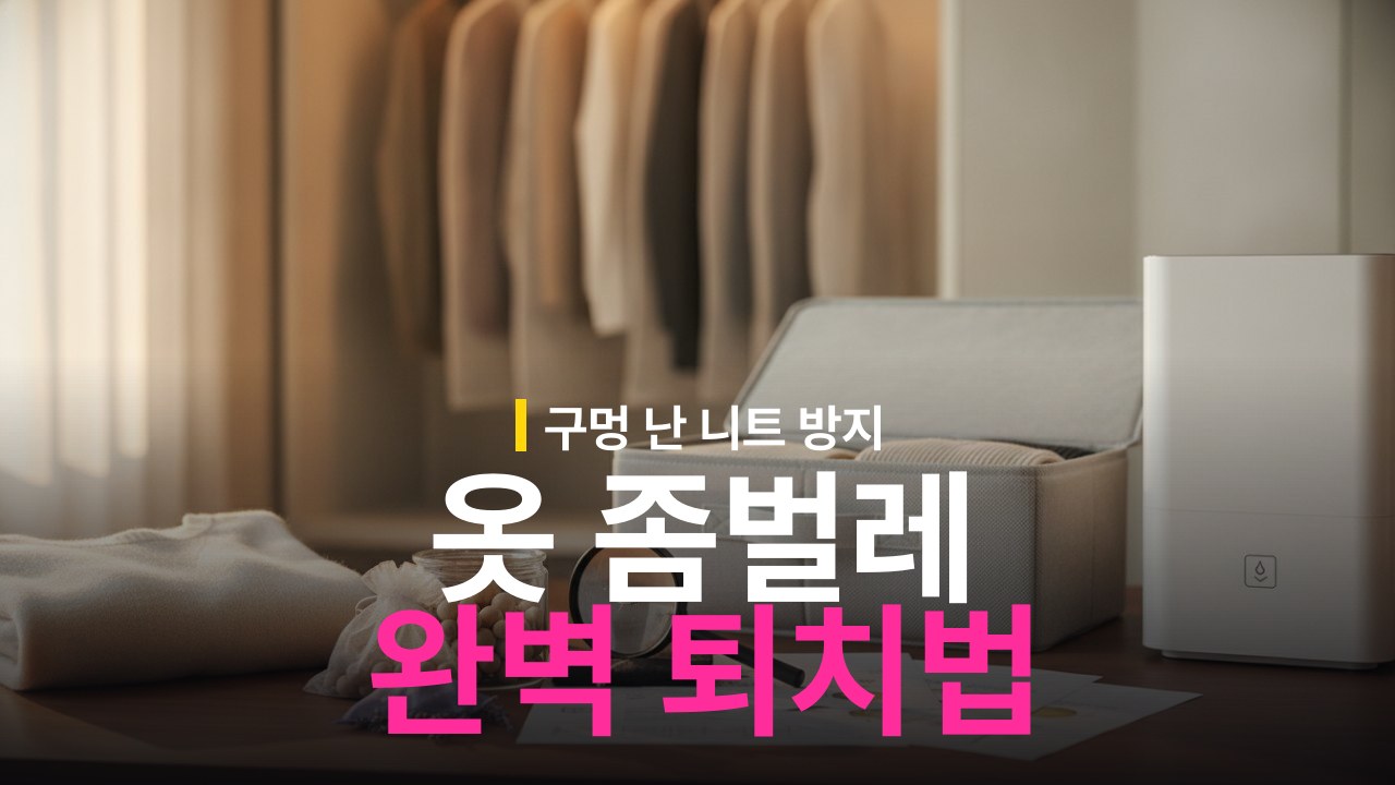 옷 좀벌레 생기는 원인과 니트 보관 예방 방법