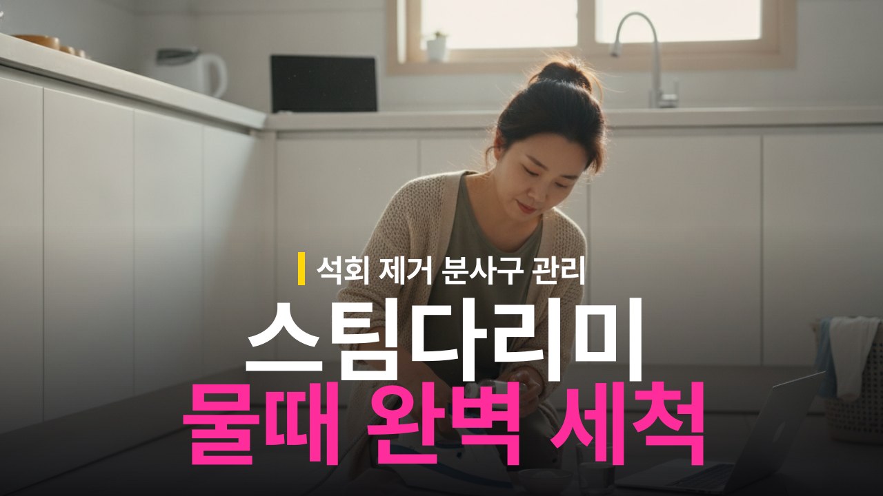 스팀다리미 물때 청소 방법과 구연산 석회 세척