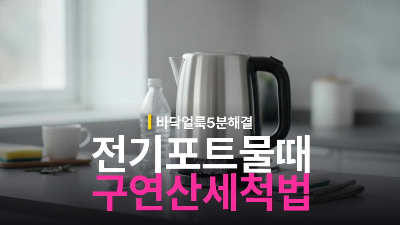 전기포트 바닥 물때 제거 방법과 구연산 세척 순서