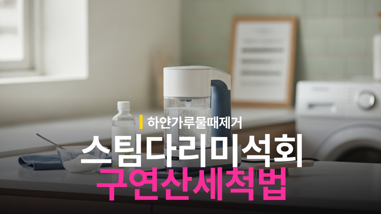 스팀다리미 물때 석회 가루 청소 방법과 구연산 세척