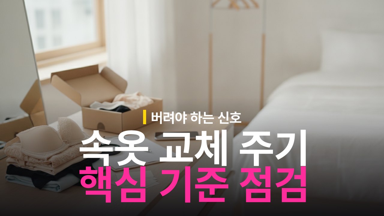 속옷 교체 주기 기준과 버려야 하는 신호 체크리스트
